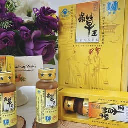 [hộp 4 ống] Trùng thảo vương lý khoa, đông trùng hạ thảo vàng league king of cordyceps 1