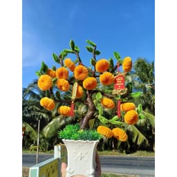 [ 90-100 quả] Set nguyên liệu làm BÌNH QUẢ QUÝT TÀI LỘC kẽm nhung handmade 5