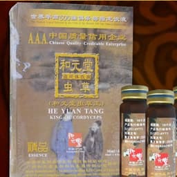 [2 ông tiên] Đông trùng hạ thảo hòa nguyên đường - he yuan tang king of cordyceps [chính hãng] 1