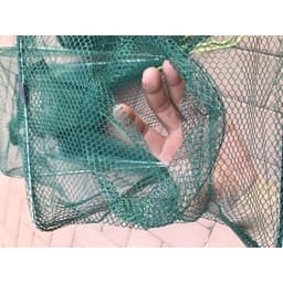 Lồng bát giác 8 cửa bẫy tôm cua lươn ốc cá gấp gọn tiện dụng 4