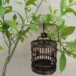 Lồng Nuôi Khuyên-Hút Mật Ngồi Cafe,Lồng Trang Trí Đẹp, thuần chim, Lồng Mini nhựa kích thước 9x9x8cm
 4