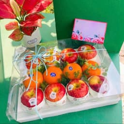 [ Set 5 ] Hộp Cupcake nhiều lỗ đựng Bánh, Hũ Yến. (Không kèm dây Ruy Băng). 3
