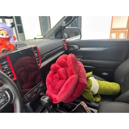 Hoa Hồng Khủng Lồ Bông Hoa Tình tình yêu khổng lồ hot hit size 80cm nhà Miu Gấu Xinh 3