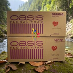 Xốp Xanh Oasis Spring Malaysia - Thùng 20 Viên Chất Lượng Cao, Giá Tốt 3