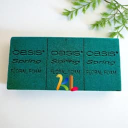 Xốp Xanh Oasis Spring Malaysia - Thùng 20 Viên Chất Lượng Cao, Giá Tốt 6