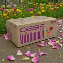 Xốp Xanh Oasis Spring Malaysia - Thùng 20 Viên Chất Lượng Cao, Giá Tốt 5