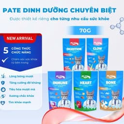 (COMBO 24 GÓI) Pate Mr.Vet 70gram Dành cho mèo mọi lứa tuổi - Bổ sung Omega-3, Vitamins, L-Lysine,.. 2