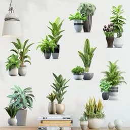 Decal dán tường 8 chậu cây xanh trang trí 3