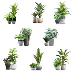 Decal dán tường 8 chậu cây xanh trang trí 2