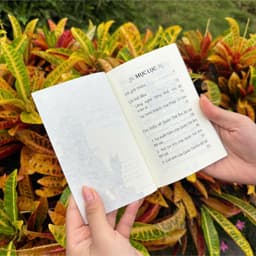 Sách - Học Quán Âm Hành Quán Âm - Hòa Thượng Thánh Nghiêm - Vĩnh nghiêm Books 3