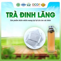 Trà Đinh Lăng Mix Cỏ Ngọt Thơm Ngon Dễ Uống Thanh Mát Cho Ngày Thư Thái Hộp 30 Túi Lọc Tea 2