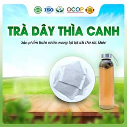 Trà Dây Thìa Canh Hộp 30 Gói Túi Lọc Siêu Thị Thiên Nhiên 2