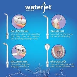Máy tăm nước cá nhân không dây Waterjet Cordless Mini (4 đầu tăm,dùng được cho người niềng răng,răng sứ,có đầu cạo lưỡi) 5