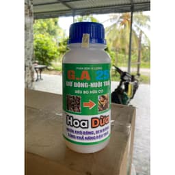 HOA DỪA NGỪA KHÔ BÔNG, ĐEN BÔNG, TẶNG ĐẬU TRÁI CHỐNG RỤNG TRÁI NON TRÊN DỪA CHAI 500ML 4