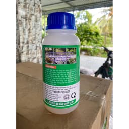 HOA DỪA NGỪA KHÔ BÔNG, ĐEN BÔNG, TẶNG ĐẬU TRÁI CHỐNG RỤNG TRÁI NON TRÊN DỪA CHAI 500ML 5