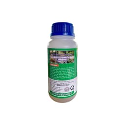 HOA DỪA NGỪA KHÔ BÔNG, ĐEN BÔNG, TẶNG ĐẬU TRÁI CHỐNG RỤNG TRÁI NON TRÊN DỪA CHAI 500ML 3