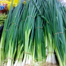 Hạt giống Hành Lá 4 Mùa - GÓI 550 HẠT, Siêu Đẻ Nhánh, Chịu Nhiệt Tốt, Trồng Quanh Năm - Hạt Giống Nhà Nông 8