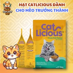 [Gói 1kg] Thức Ăn Hạt CAT LICIOUS Cho Mèo Trưởng Thành Vị Cá Biển Giúp Mèo Ngon Miệng Đẹp Da Và Mượt Lông 6