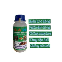 HOA DỪA NGỪA KHÔ BÔNG, ĐEN BÔNG, TẶNG ĐẬU TRÁI CHỐNG RỤNG TRÁI NON TRÊN DỪA CHAI 500ML 2