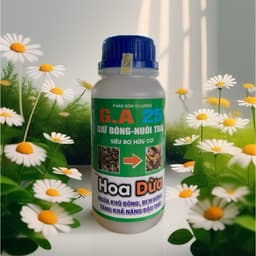 HOA DỪA NGỪA KHÔ BÔNG, ĐEN BÔNG, TẶNG ĐẬU TRÁI CHỐNG RỤNG TRÁI NON TRÊN DỪA CHAI 500ML 1