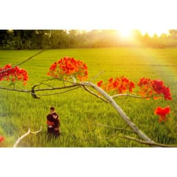 BỘ bà ba nâu nam nữ - MAY SỈ BÀ BA THEO YÊU CẦU 2