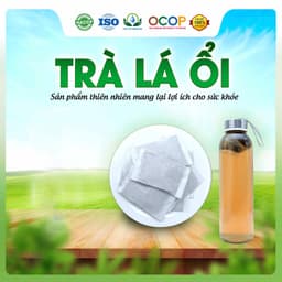 Trà Lá Ổi hộp 30 Túi Lọc Siêu Thị Thiên Nhiên Tốt Cho Dạ Dầy 2