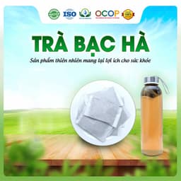 Trà Lá Bạc Hà Cam Thảo Hộp 30 Túi Lọc Siêu Thị Thiên Nhiên 2