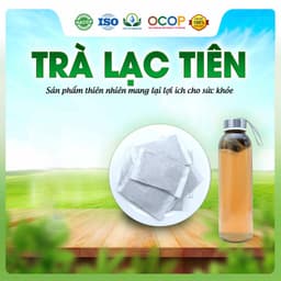 Trà Lạc Tiên Mix Cỏ Ngọt Thơm Ngon Dễ Uống Thanh Mát Cho Ngày Thư Thái Hộp 30 Túi Lọc 2