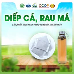 Trà Diếp Cá Rau Má  Hộp 30 Túi Lọc Siêu Thị Thiên Nhiên 2