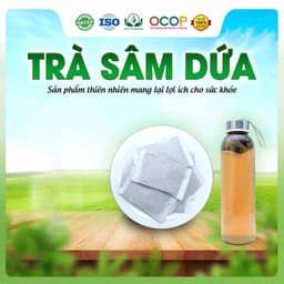 Trà Sâm Dứa Giải Khát Nhanh Hộp 30 Túi Lọc Siêu Thị Thiên Nhiên 2