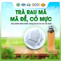 Trà Rau Má Mã Đề Cỏ Mực  Hộ Nhiên 2