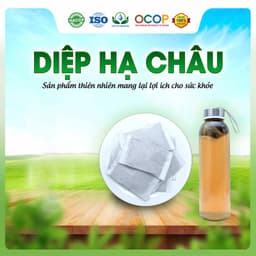 Trà Diệp Hạ Châu Mix Cỏ Ngọt Thơm Ngon Dễ Uống Thanh Mát Cho Ngày Thư Thái Hộp 30 Túi Lọc 2