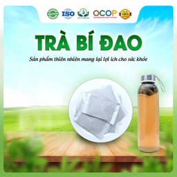 Trà Bí Đao Hộp 30 Túi Lọc Siêu Thị Thiên Nhiên 2