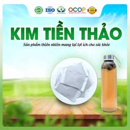 Trà Kim Tiền Thảo Mix Cỏ Ngọt Thơm Ngon Dễ Uống Thanh Mát Cho Ngày Thư Thái Hộp 30 Túi Lọc 2