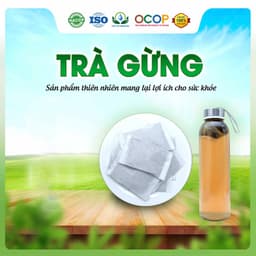 Trà Gừng hộp 30 Túi Lọc x 3gram Siêu Thị Thiên Nhiên 2