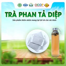 Trà Phan Tả Diệp Mix Cỏ Ngọt Thơm Ngon Dễ Uống Thanh Mát Cho Ngày Thư Thái Hộp 30 Túi Lọc 2