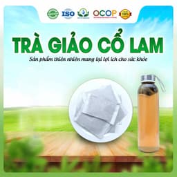 Trà Giảo Cổ Lam hộp 30 Túi Lọc x 3Gram Siêu Thị Thiên Nhiên 2