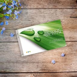 Thực phẩm Bộ 3 thanh lọc Siberian Wellness Renaissance Triple Set, thanh lộc cơ thể,  Tăng cường sức khỏe 2