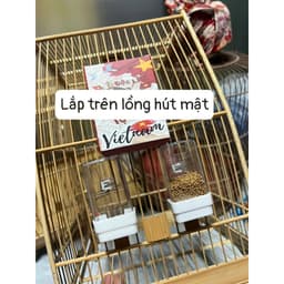 Set hộp 2 cóng ăn , uống tự động chất liệu nhựa PP chống ròn dành cho- mào,choè,khuyên,hút mật Đẹp 4