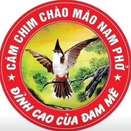 3 Gói Cám tổng hợp Nam phở Thức Ăn Đóng Cân Nam Phở cao cấp 500g dùng cho mọi loại chim cảnh 3
