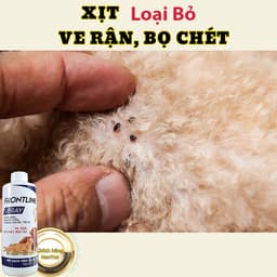 Xịt Ve Rận Bọ Chét Cho Chó Mèo Frontine Spray 500ml – Loại Bỏ  Ve Nhanh, An Toàn Thú Cưng 4