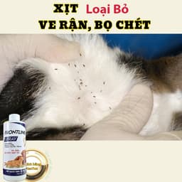 Xịt Ve Rận Bọ Chét Cho Chó Mèo Frontine Spray 500ml – Loại Bỏ  Ve Nhanh, An Toàn Thú Cưng 6