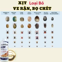Xịt Ve Rận Bọ Chét Cho Chó Mèo Frontine Spray 500ml – Loại Bỏ  Ve Nhanh, An Toàn Thú Cưng 2