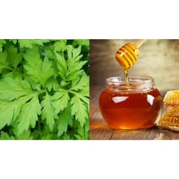 Ngải Cứu Sấy Thăng Hoa Viên Mật Ong Rừng Mẹ Ken 500 Gram 4
