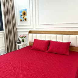 BỘ GA GỐI Chun Trần Bông Phi Lụa Bóng Các Loại Nhiều Màu Sắc  –  Kích Thước 1m2,1m4,1m5,1m6,1m8,2m2 2