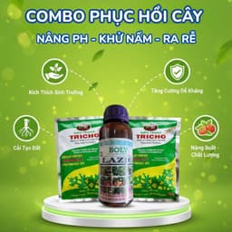 Combo Dinh Dưỡng Toàn Diện (Tricho + Boly Lazio) - Phục hồi, Tăng đề kháng, Năng suất vượt trội 1