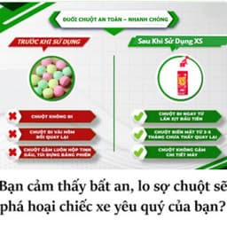 Xịt Đuổi Chuột Thảo Mộc XS 500 ML Thái Lan – An Toàn, Đuổi Chuột Hiệu Quả Không Độc Hại 3