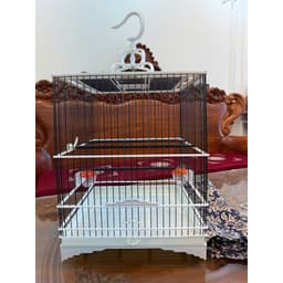 Khung Lồng nhựa chim chào mào đầy đủ phụ kiện size 36 Víp 3