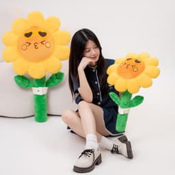 Hoa Hướng Dương Khổng Lồ - Bông Hoa Hướng Dương nhà MIU Gấu Xinh 8