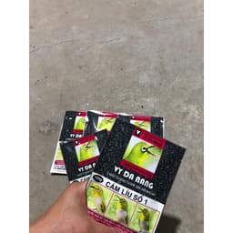 Combo 5 Gói Vỹ Đà Nẵng 1 Khuyên 100Gr Giúp Chim Căng Líu 100Gr 2